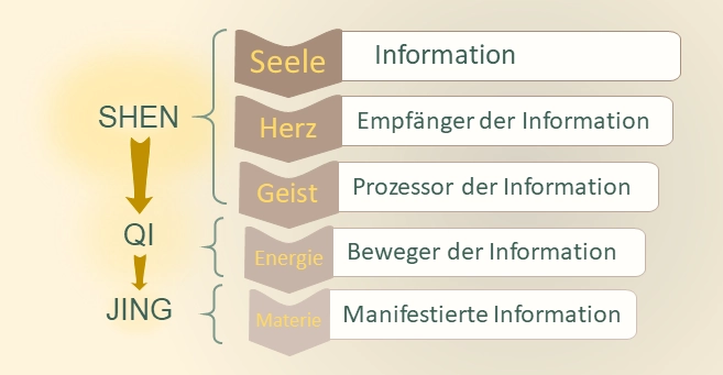 Visualisierung des Gesetzes von Shen Qi Jing – zeigt den Fluss von Seele über Herz, Geist, Energie bis Materie als Hierarchie der Transformation.